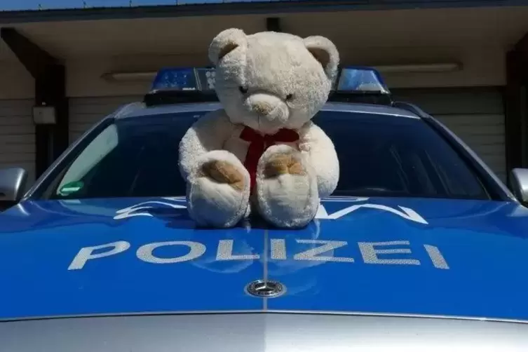 Dieser Teddy wurde von den Beamten auf der A6 gefunden. 