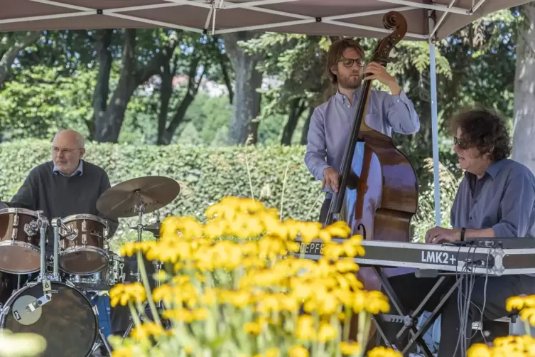Thomas Cremer, Bastian Weinig und Martin Sasse (von links) bauten immer wieder kleine Jam-Sessions in ihr Konzert im Rosengarten
