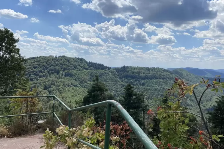 Herrlich: der Blick vom Kuhnenkopf zur Ruine Wegelnburg (geradeaus) und bis nach Frankreich. 