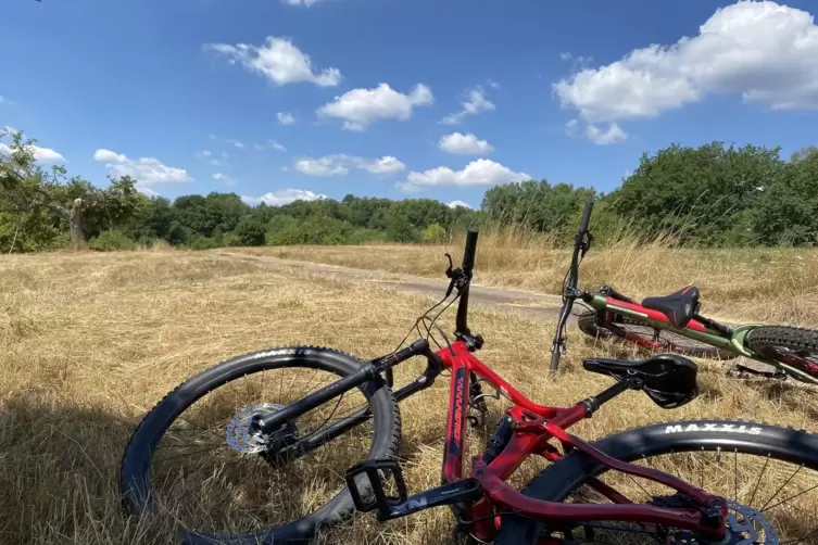 Pause muss sein: Auf der Strecke wechseln sich offene Felder und Wald ab.