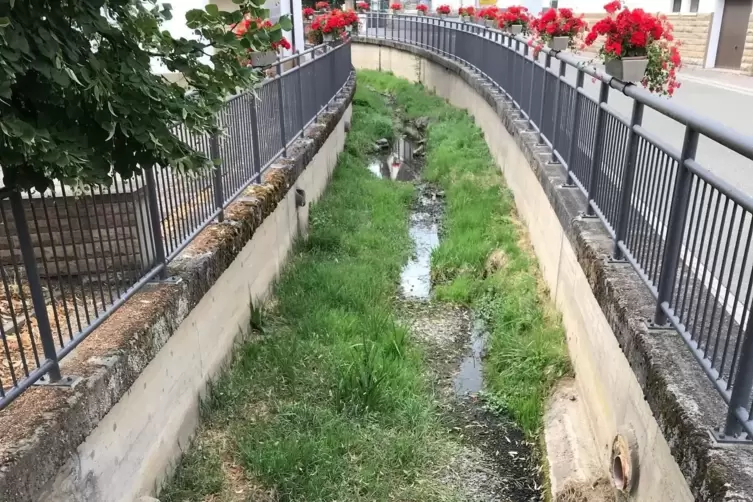 Dorfmitte Waldgrehweiler: Der Moschelbach wartet auf Regen. Verblieben sind nur ein paar Pf&uuml;tzen.