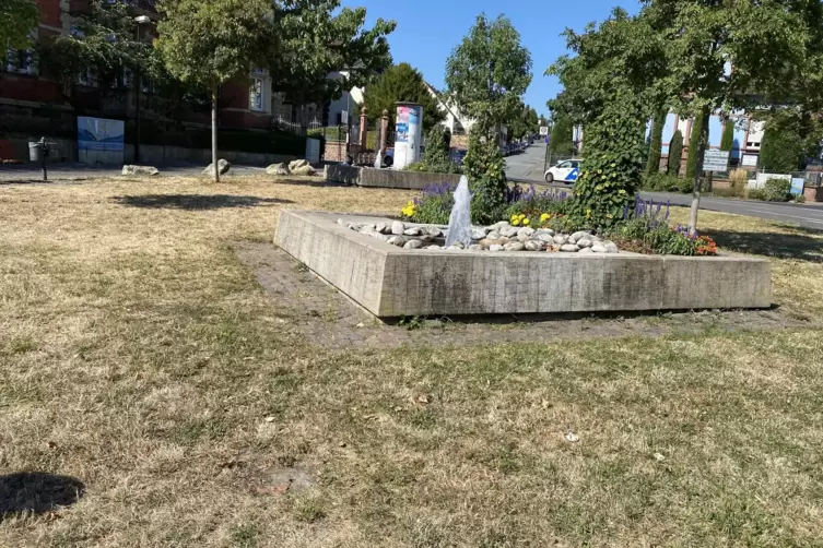 Derzeit pr&auml;sentieren sich viele Rasenfl&auml;chen wie hier am Amtsplatz in Bad D&uuml;rkheim in Braunt&ouml;nen. 