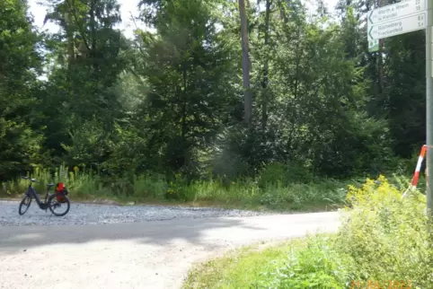 Zu grob für einen beworbenen Radweg im Bienwald ist das aufgeschüttete Material. 