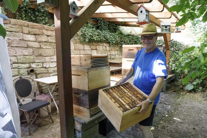 Die Bienenkästen sind derzeit leer, erklärt Walfried Weber. Im Garten haben die Insekten nicht genug Nahrung gefunden.
