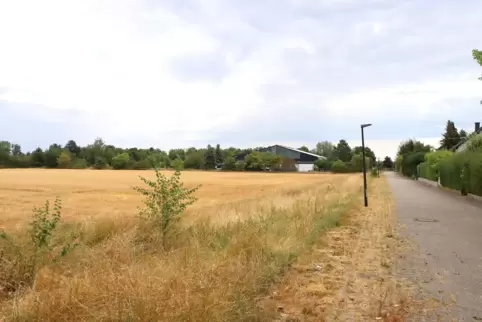 Das Wohngebiet soll auf einer Freifläche zwischen dem Indoorspielplatz (im Hintergrund) und dem Queichtalbad entstehen, das sich