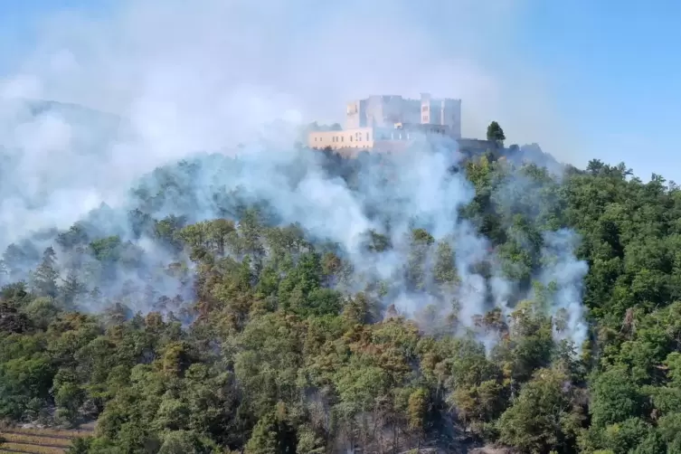 Die Waldbrandgefahr – hier das Feuer beim Hambacher Schloss – ist derzeit extrem hoch. 