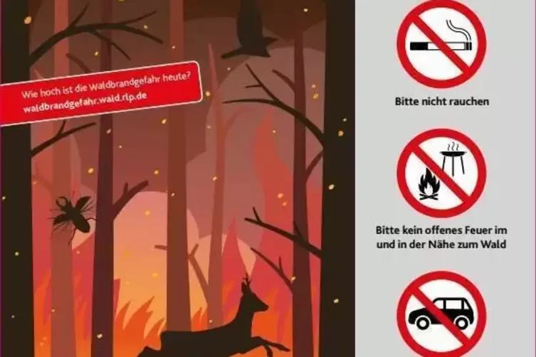 Mit solchen Schildern will der Forst für die Gefahr eines Waldbrands sensibilisieren. 
