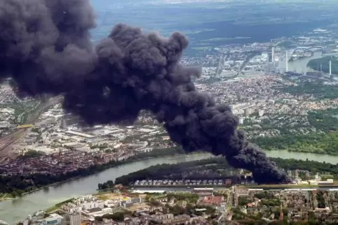 Die schwarze Rauchwolke, die 2013 auf der Ludwigshafener Parkinsel beim Brand einer Lagerhalle entstand, war damals in der ganze