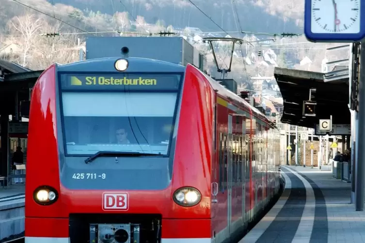 Normalerweise fährt die S1 von Neustadt (Foto) nach Osterburken. Wegen der Bauarbeiten zwischen Mannheim und Heidelberg ändern s
