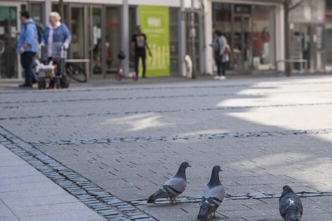 Tauben dürfen in der Innenstadt nicht gefüttert werden.