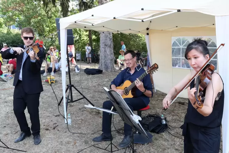 Drei begnadete Musiker, eine Vielfalt an Klängen: das Skylark String Trio beim Konzert im Park.