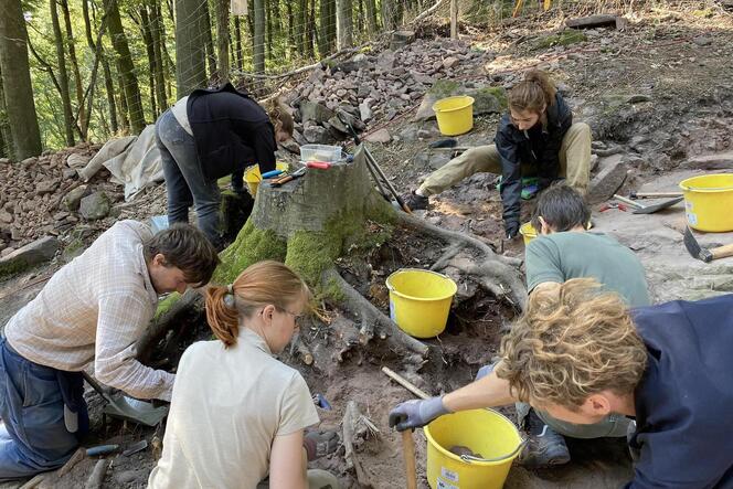 Studenten aus Würzburg, Heidelberg und Trier sind an den Ausgrabungen beteiligt.