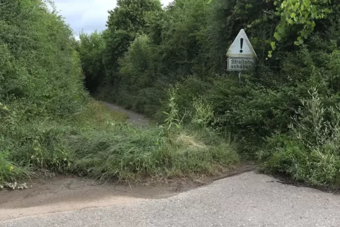 Das war einmal eine Kreisstraße: die alte K3 zwischen Arzheim und Ranschbach.