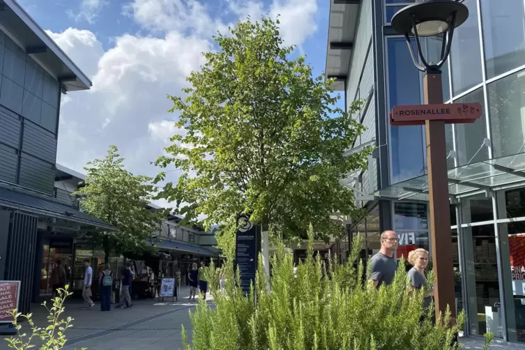 Die Rosenallee verl&auml;uft zwischen den Parkpl&auml;tzen und den Eing&auml;ngen. 