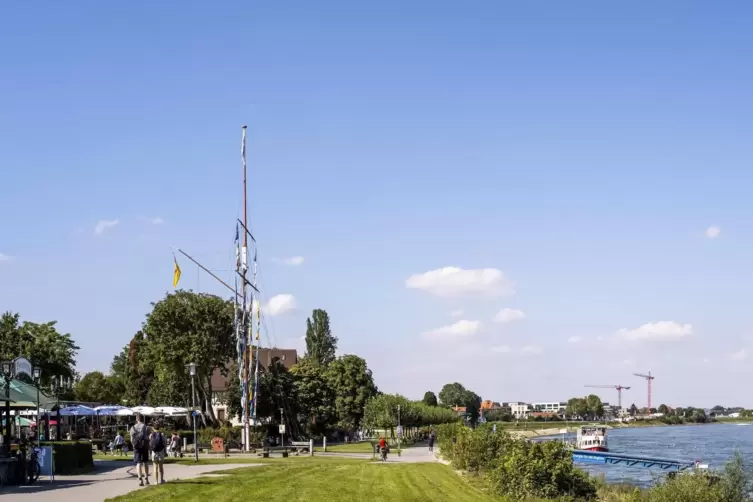 Neues Fest: Die Rheinuferpromenade soll mehr Aufmerksamkeit erlangen. 