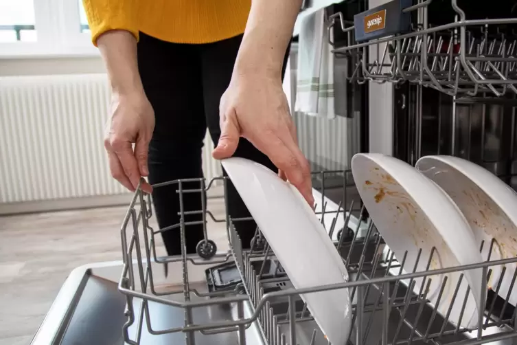  Wer den Geschirrsp&uuml;ler nutzt, sollte ein Sparprogramm w&auml;hlen. 