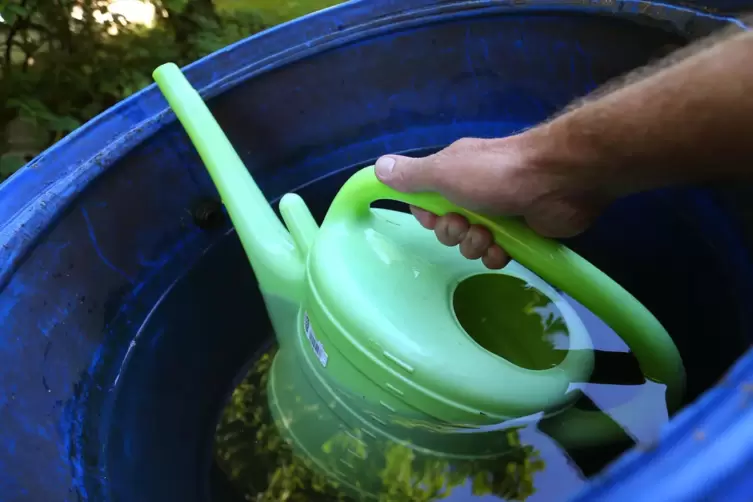 Zum Gie&szlig;en der Pflanzen im Garten sollte Regenwasser gesammelt werden. 