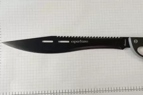 Der Beschuldigte soll mit einer Machete eine andere Person bedroht haben. Gefunden wurde eine solche allerdings nicht.