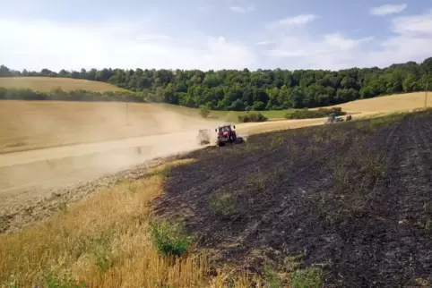 Mit Hilfe von Landwirten konnte der Brand auf einer Fläche von zwei Fußballfeldern schnell gelöscht werden.