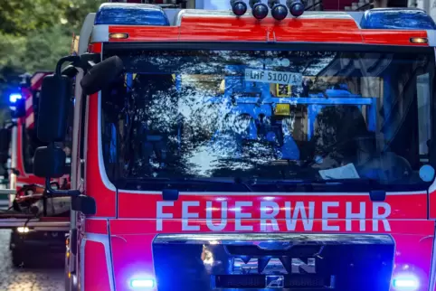 Die Feuerwehr rettete die Fische vor dem Tod durch Sauerstoffmangel. 