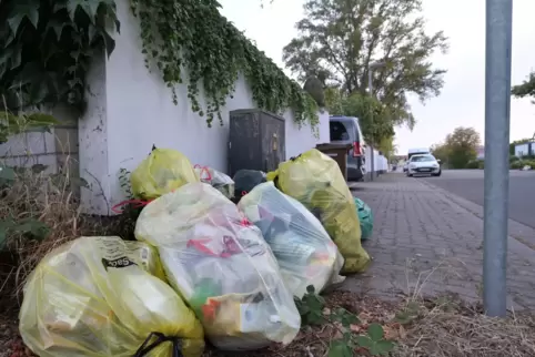 Stellt für Anwohner ein Problem dar: der Müll in der Straße „Am Flugplatz“, der nicht abgeholt wird.
