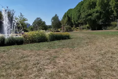 Leser Rolf Schmidt kritisiert die verbrannten Rasenflächen im Rosengarten. Heiko Hübscher verteidigt das Vorgehen. 