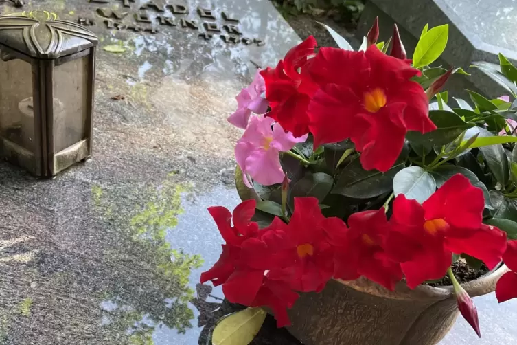 Das Grab von Werner Stadel vor dem Blumendiebstahl.