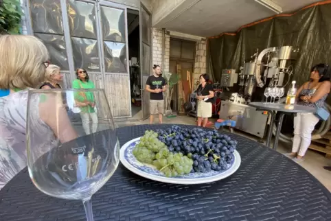 Bei der RHEINPFALZ-Sommeraktion erfuhren Leser, dass jede Rebsorte nicht nur als Wein, sondern auch als Saft ihren eigenen Chara