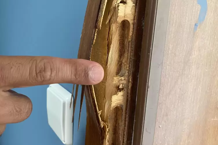 Die aufgebrochene Wohnungst&uuml;r.