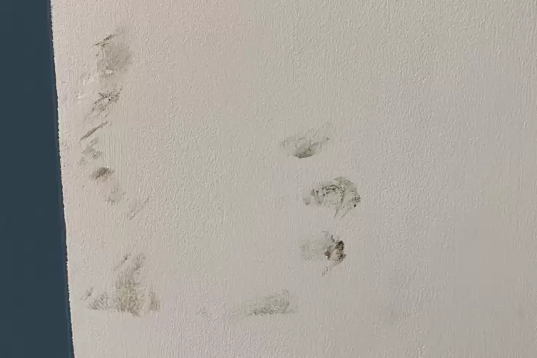 Ein Handabdruck auf der Wohnzimmerwand. 