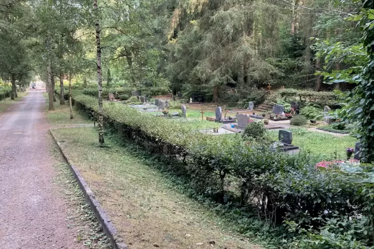 Noch ist nichts zu sehen, aber künftig soll ein Trauerpfad auf dem Waldfriedhof Menschen über eine Brücke führen, von der Trauer