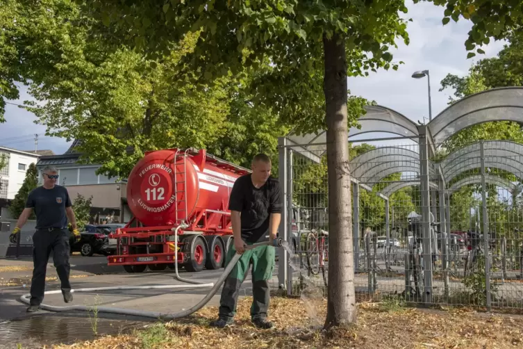 In Ludwigshafen geht’s: Die Feuerwehr hilft mit Personal und Fahrzeugen beim Gießen von Bäumen. 