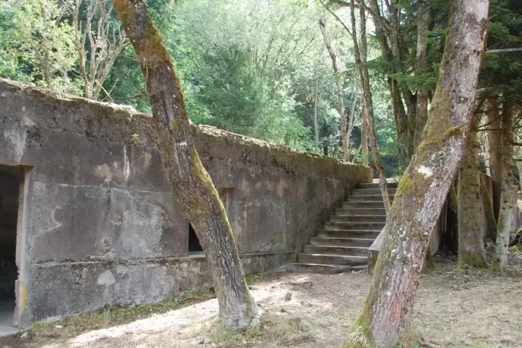 Zugewachsen: die Ruinen der Schmiede im ehemaligen KZ Struthof.