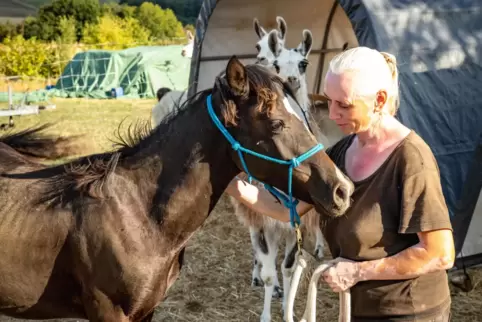 Yvette Hahmann-Ullrich mit ihrem Fohlen, das keine Angst vor den Lamas hat.