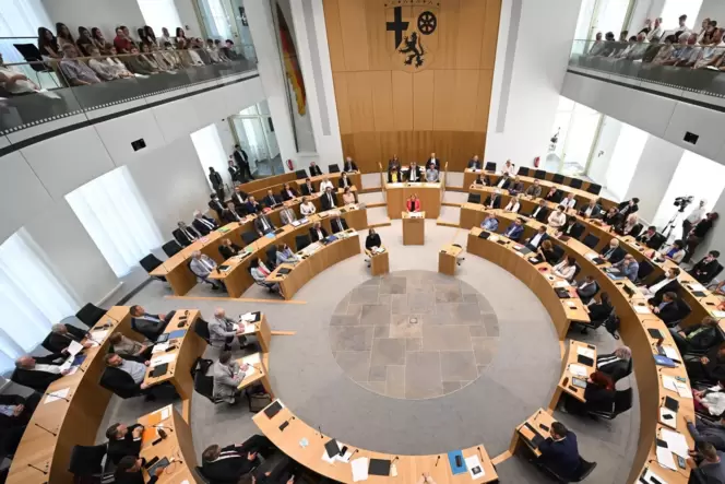 »Nebeneinkünfte von Abgeordneten sind gerne ein Aufregerthema. Es lohnt sich, ganz genau hinzuschauen«, schreibt RHEINPFALZ-Land »Nebeneinkünfte von Abgeordneten sind gerne ein Aufregerthema. Es lohnt sich, ganz genau hinzuschauen«, schreibt RHEINPFALZ-Land