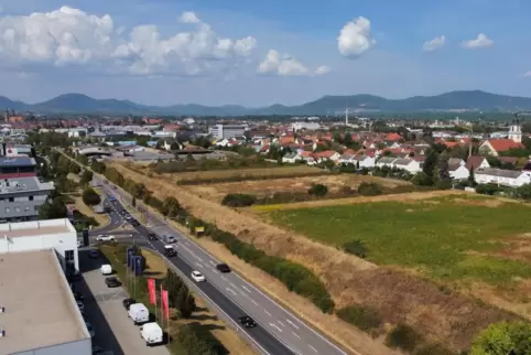 Hier entsteht das Queichheimer Baugebiet Südlich Breiter weg. 