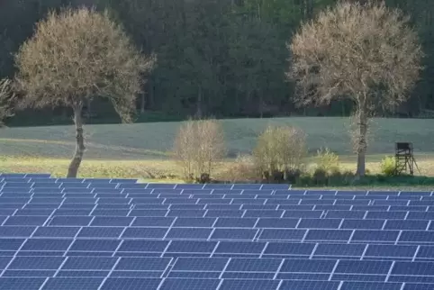 Brauchen einiges an Raum: Photovoltaikanlagen in Feld und Flur treffen nicht jedermanns Zustimmung. In Kappeln gibt es Diskussio