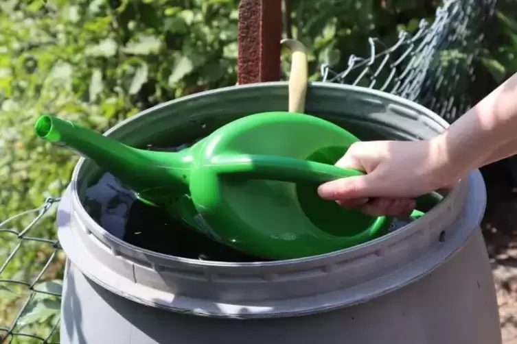 Um die Pflanzen zu gie&szlig;en, kann aufgefangenes Regenwasser benutzt werden. 