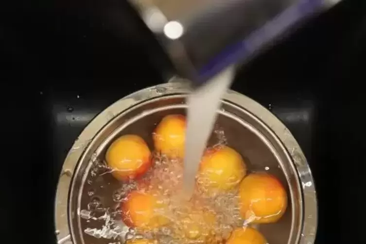 Wird Gem&uuml;se und Obst in einer Sch&uuml;ssel gewaschen, kann das Wasser noch zum Blumengie&szlig;en verwendet werden. 