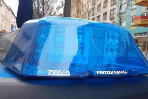 pol3