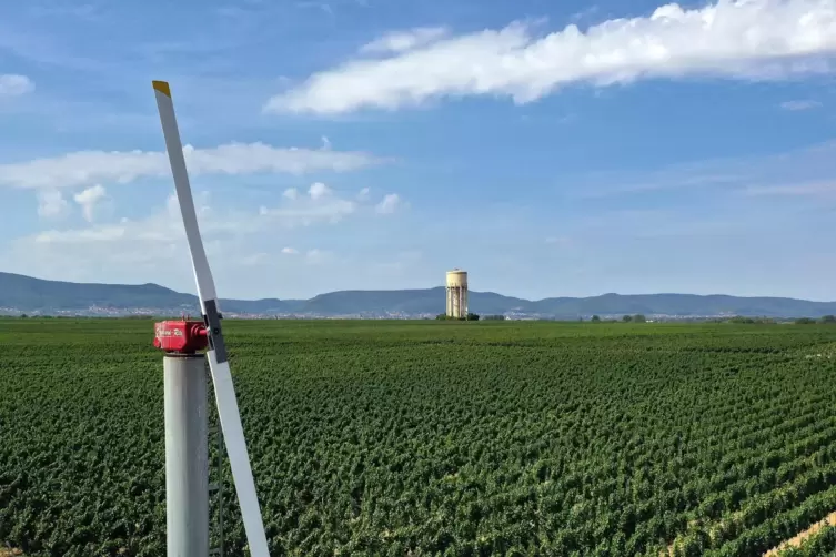 Blick über die neu geordneten Rebflächen in Duttweiler, samt Windrad für den Frostschutz. 