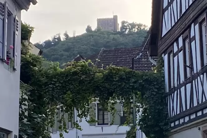 Blick vom Rathaus hoch zum Schloss. Blick vom Rathaus hoch zum Schloss.