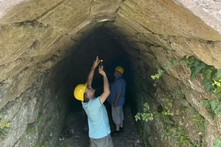 Der Fledermaussch&uuml;tzer nimmt den Versorgungsstollen in Augenschein. 