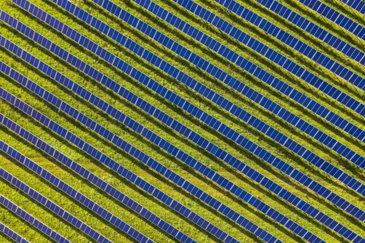 Ein Feld voller Solaranlagen. 