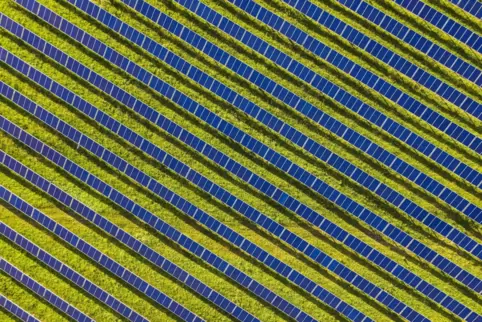 Ein Feld voller Solaranlagen. 