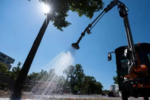 Wenn es besonders heiß ist, sollen die Bewässerungsfahrzeuge der Stadt öfter ausrücken, fordern die Grünen. 