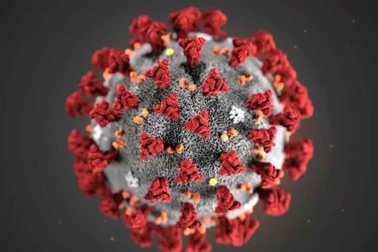 Das Coronavirus-Modell.