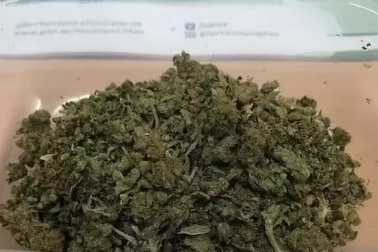 Ein halbes Pfund Cannabis beschlagnahmte die Polizei.