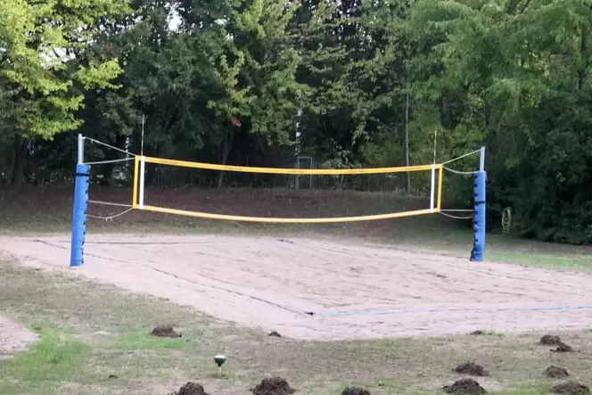 Beachvolleyballanlage in Lingenfeld: Der Volleyball-Club bekam die Baugenehmigung dafür in den 1990er Jahren. Jetzt gibt es Stre