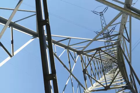 55 Gittermasten wollen die Pfalzwerke ersetzen. 